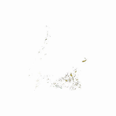 Export Image