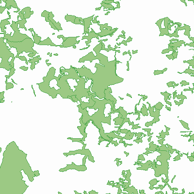 Export Image