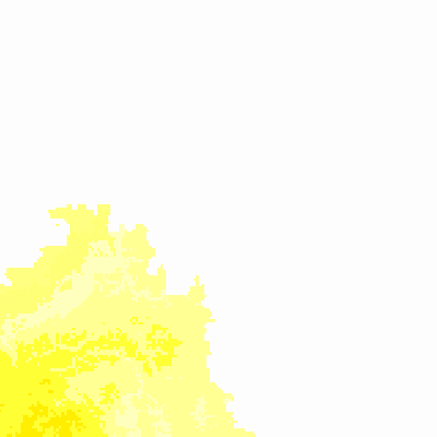 Export Image